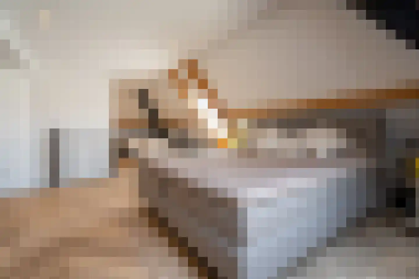 Vecht 120 Nieuwerkerk aan den IJssel thumbnail 30
