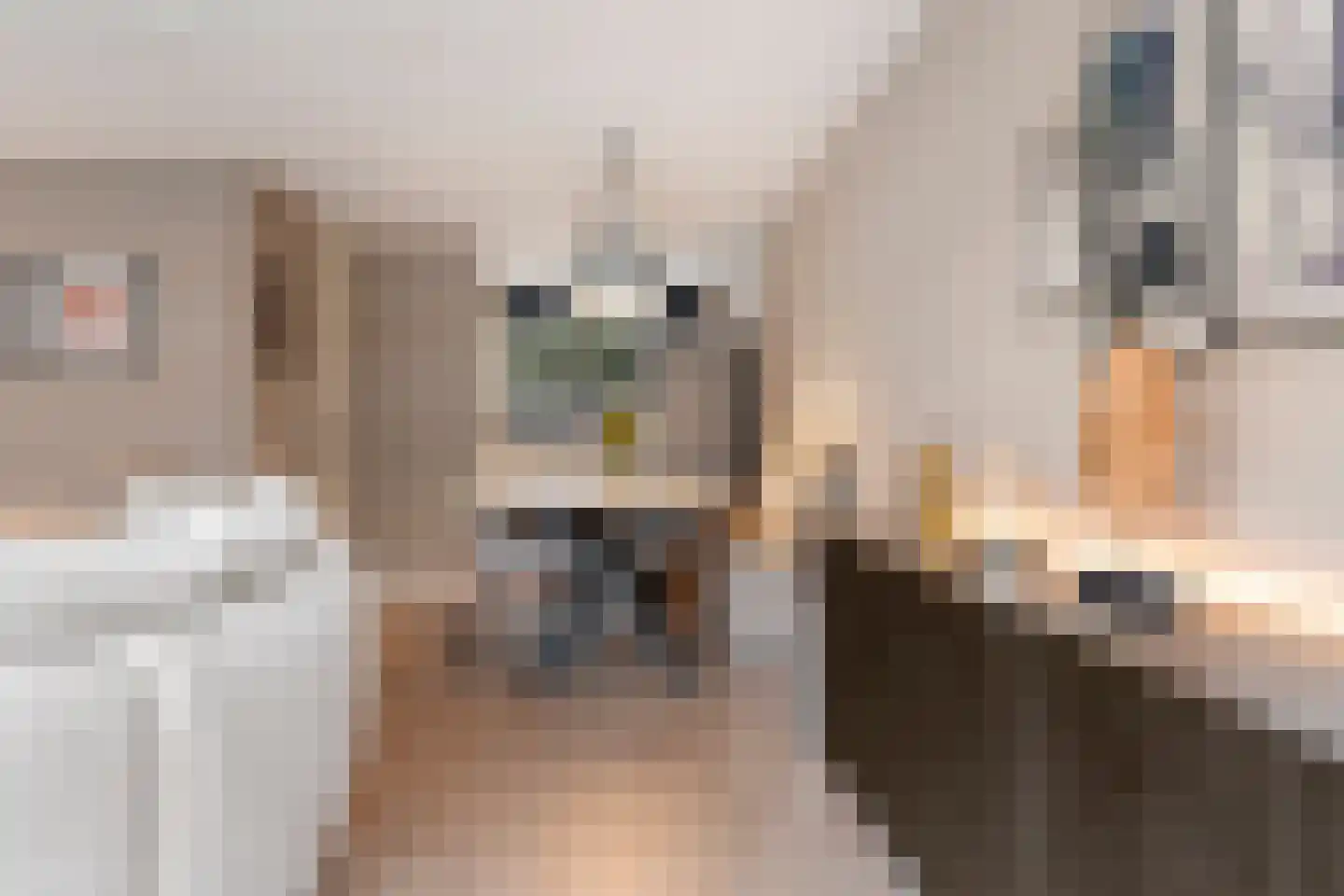 Vecht 131 Nieuwerkerk aan den IJssel thumbnail 18