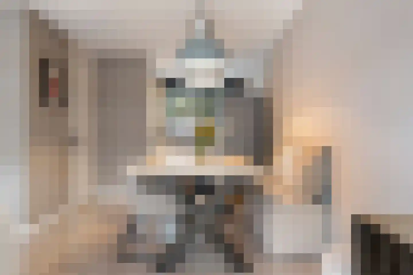 Vecht 131 Nieuwerkerk aan den IJssel thumbnail 20