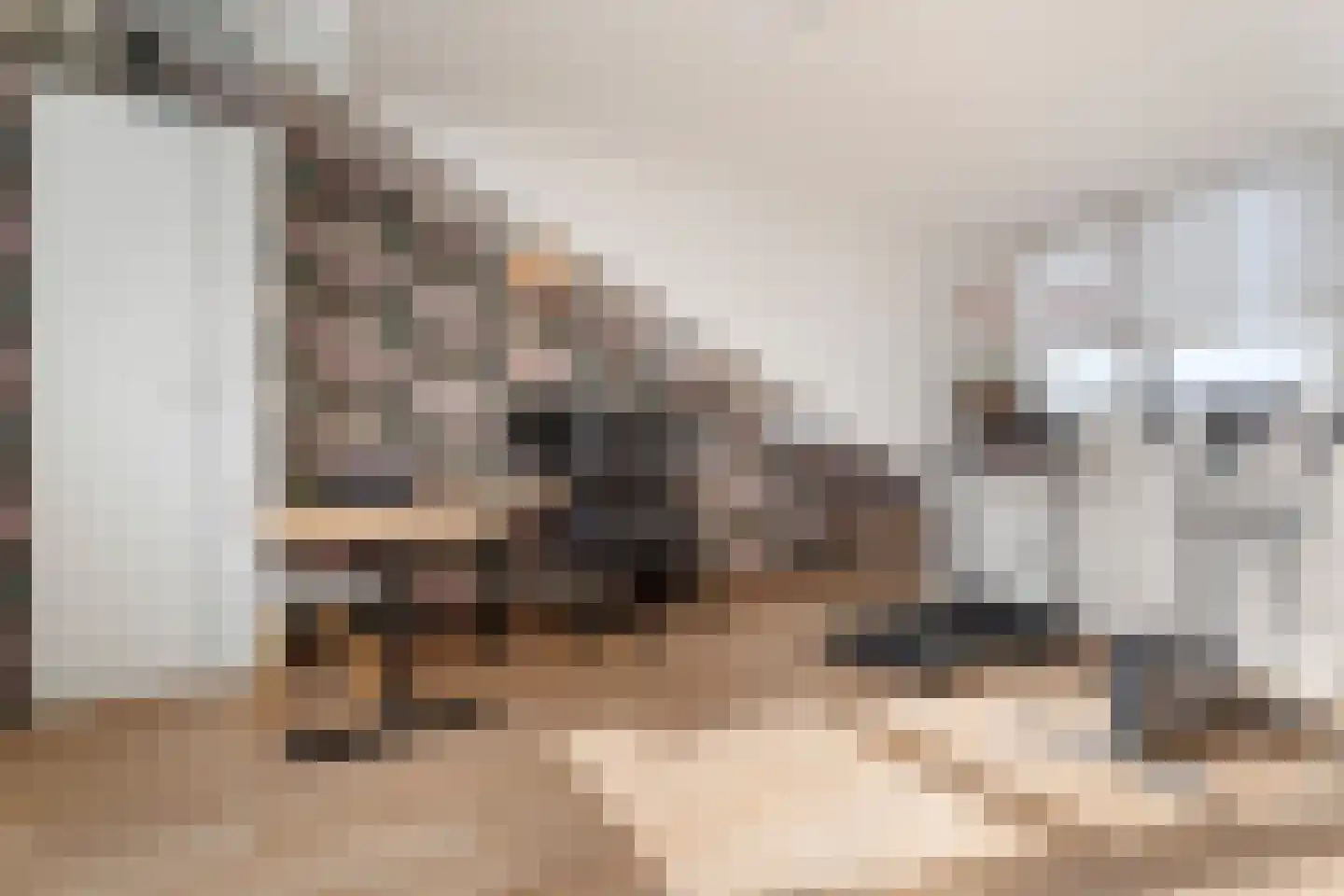Vecht 131 Nieuwerkerk aan den IJssel thumbnail 38