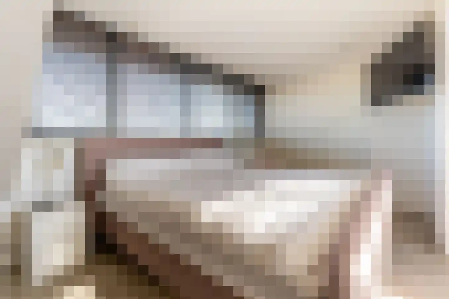 Vecht 135 Nieuwerkerk aan den IJssel thumbnail 5