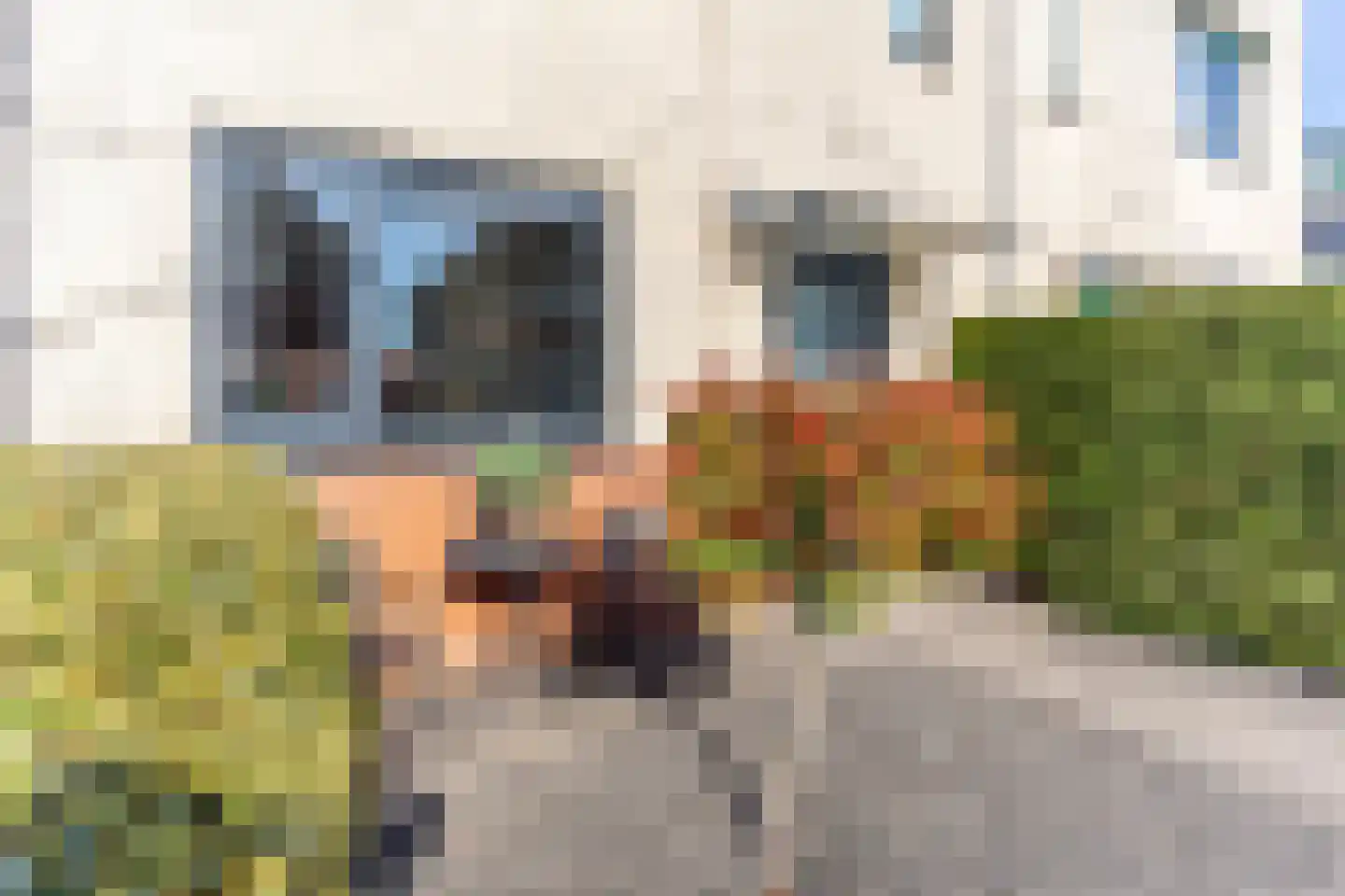 Vecht 135 Nieuwerkerk aan den IJssel thumbnail 8
