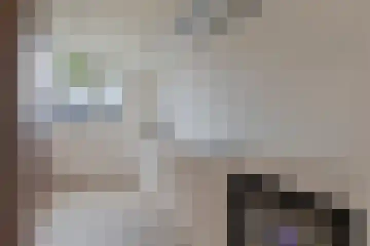 Vecht 14 Kaatsheuvel thumbnail 13