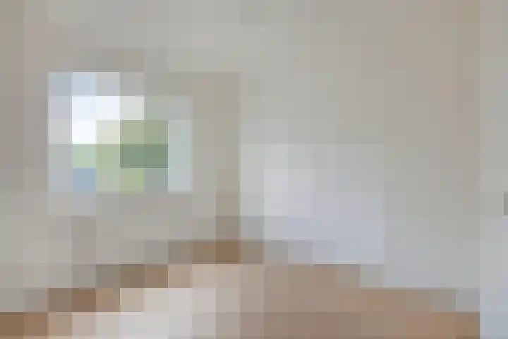 Vecht 14 Kaatsheuvel thumbnail 20