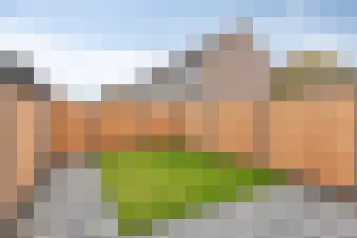 Vecht 14 Kaatsheuvel thumbnail 25