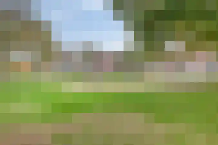 Vecht 14 Kaatsheuvel thumbnail 30