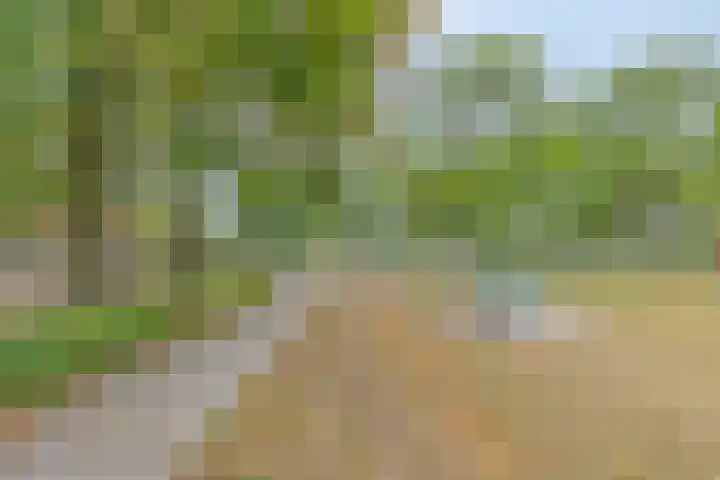 Vecht 14 Kaatsheuvel thumbnail 31
