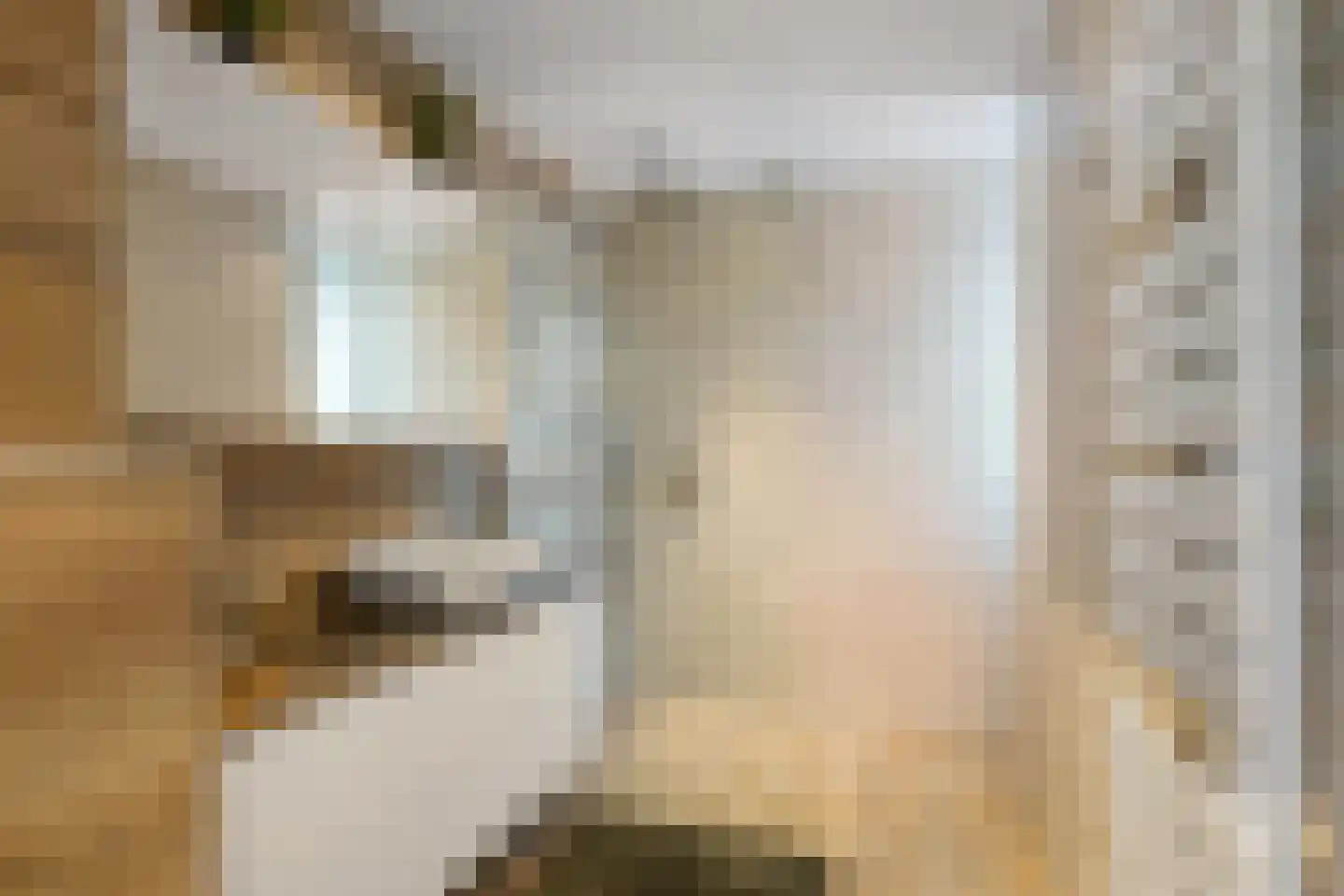 Vecht 145 Nieuwerkerk aan den IJssel thumbnail 17