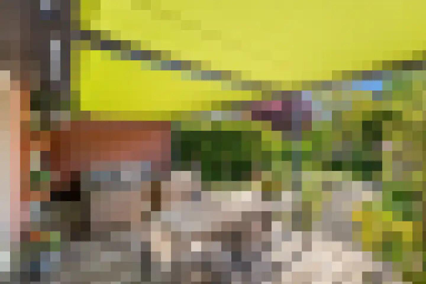 Vecht 145 Nieuwerkerk aan den IJssel thumbnail 25