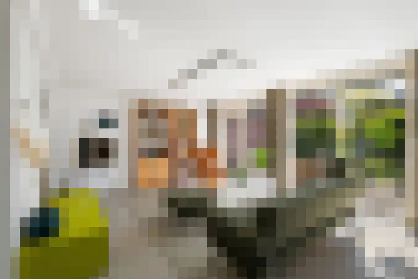 Vecht 145 Nieuwerkerk aan den IJssel thumbnail 5