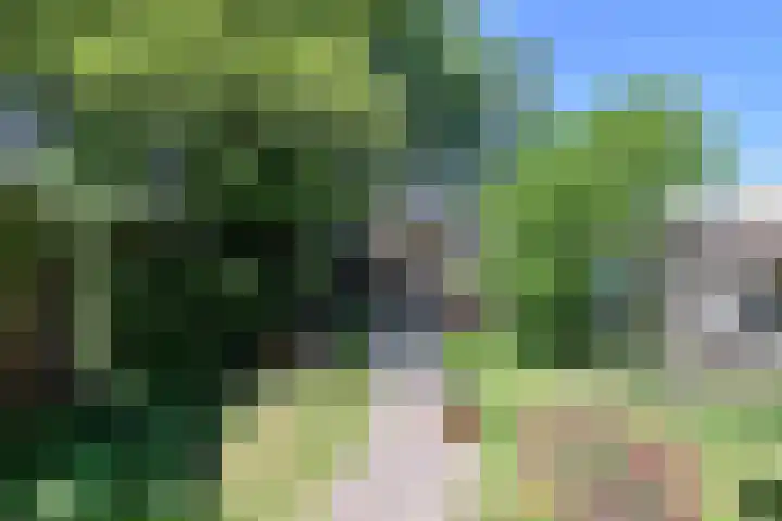 Vecht 16 Huizen thumbnail 16