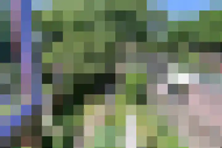 Vecht 16 Huizen thumbnail 18