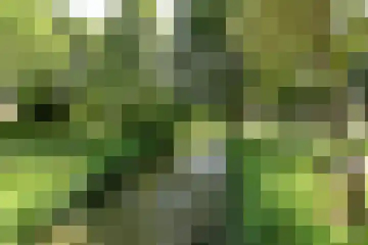 Vecht 16 Huizen thumbnail 19