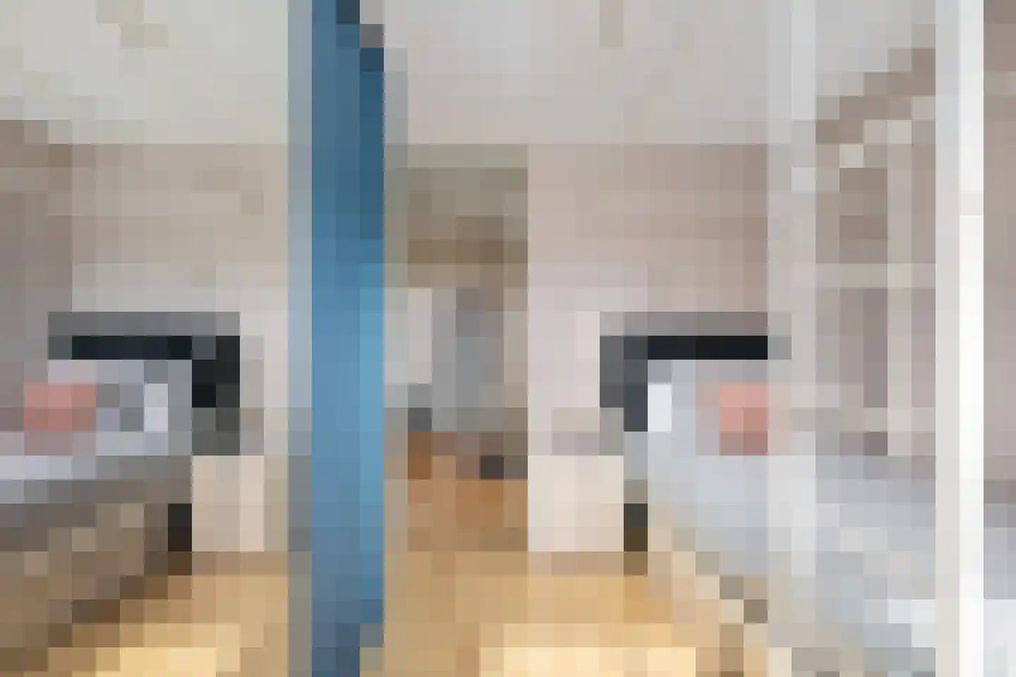 Vecht 16 Nieuwerkerk aan den IJssel thumbnail 19