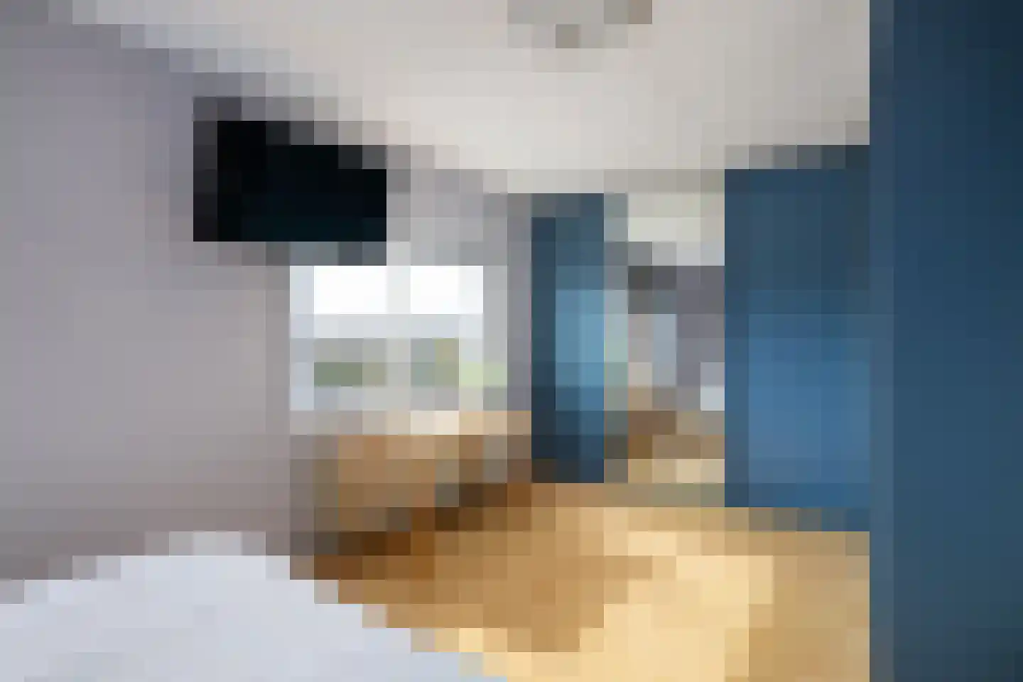 Vecht 16 Nieuwerkerk aan den IJssel thumbnail 21