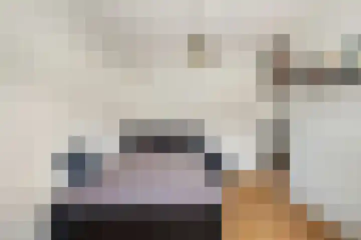 Vecht 17 Nieuwerkerk aan den IJssel thumbnail 12