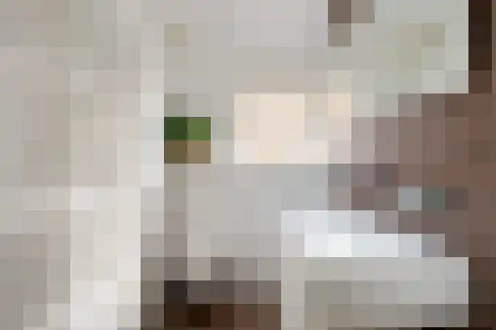 Vecht 17 Nieuwerkerk aan den IJssel thumbnail 16
