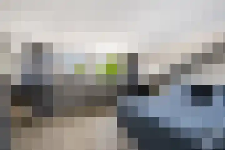 Vecht 17 Nieuwerkerk aan den IJssel thumbnail 20