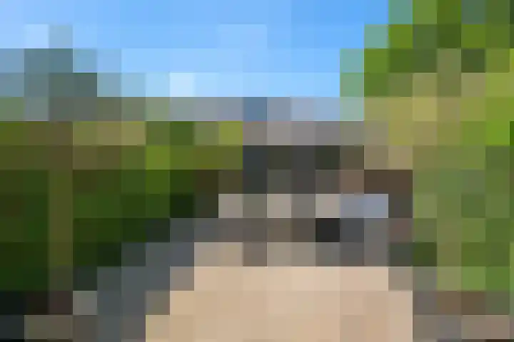 Vecht 17 Nieuwerkerk aan den IJssel thumbnail 22