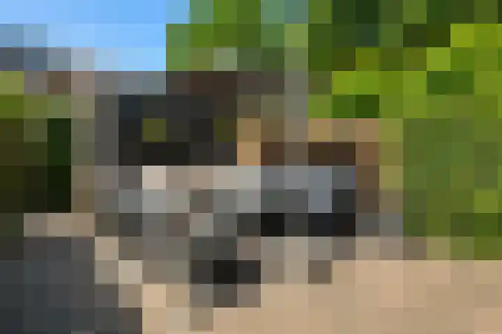 Vecht 17 Nieuwerkerk aan den IJssel thumbnail 23