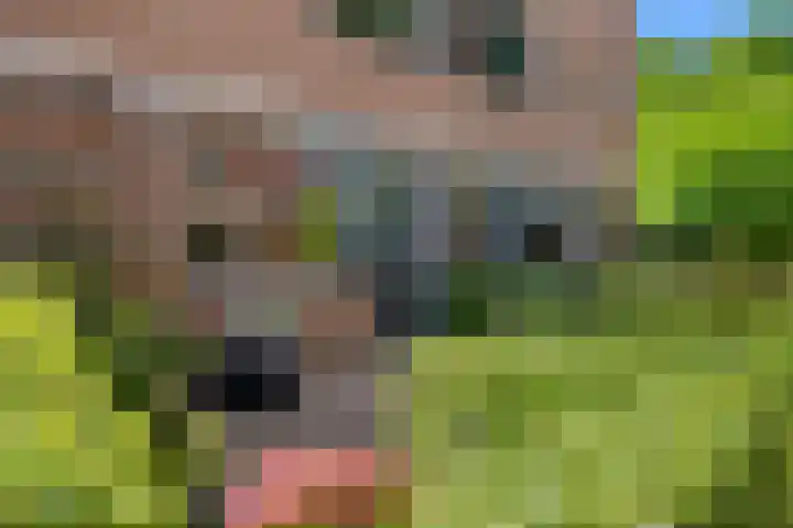 Vecht 17 Nieuwerkerk aan den IJssel thumbnail 24