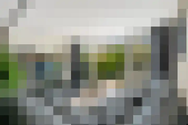 Vecht 17 Nieuwerkerk aan den IJssel thumbnail 5