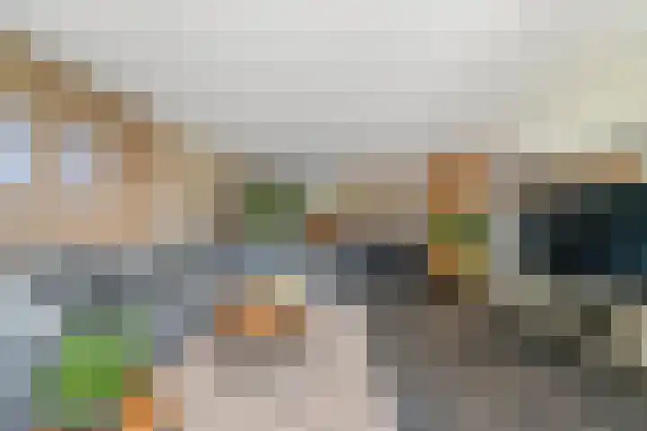 Vecht 17 Nieuwerkerk aan den IJssel thumbnail 6