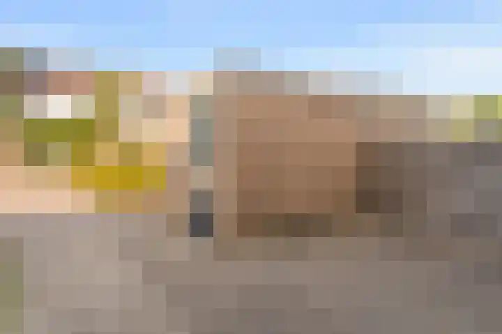 Vecht 19 Emmeloord thumbnail 10