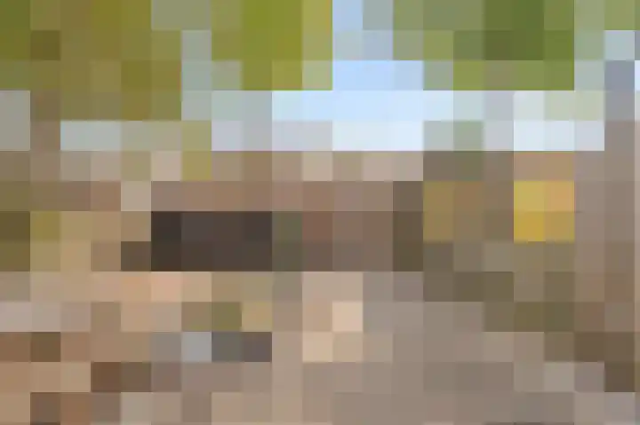 Vecht 19 Emmeloord thumbnail 22