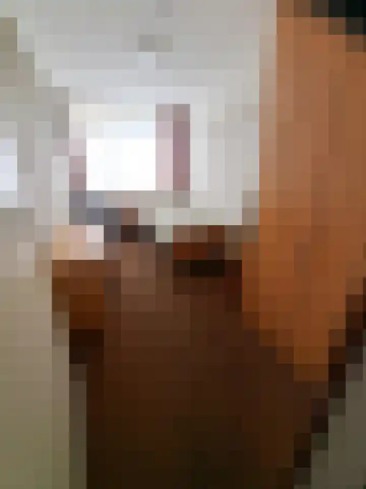 Vecht 19 Emmeloord thumbnail 30