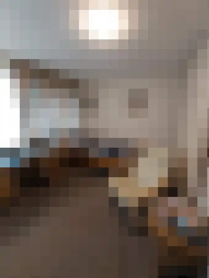 Vecht 19 Emmeloord thumbnail 34