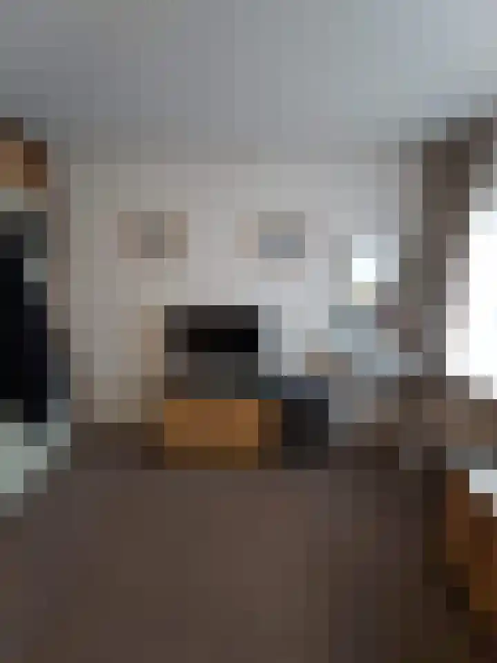 Vecht 19 Emmeloord thumbnail 35