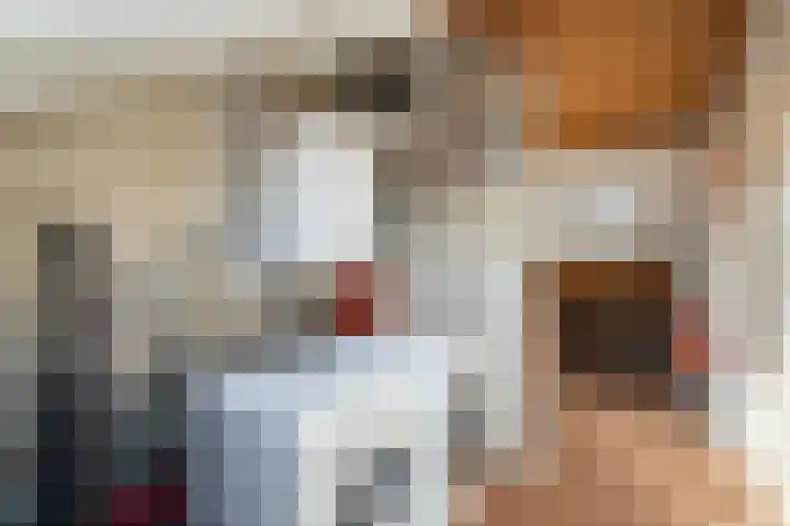 Vecht 19 Emmeloord thumbnail 39