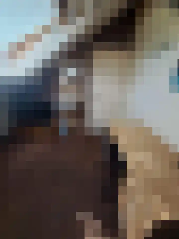 Vecht 19 Emmeloord thumbnail 41