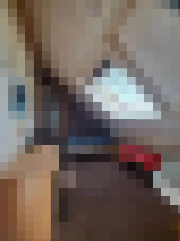 Vecht 19 Emmeloord thumbnail 42