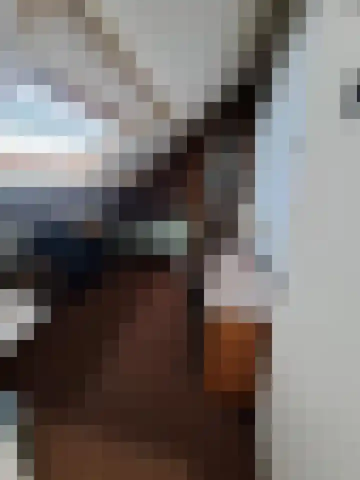 Vecht 19 Emmeloord thumbnail 43