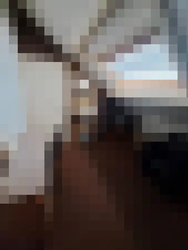 Vecht 19 Emmeloord thumbnail 44
