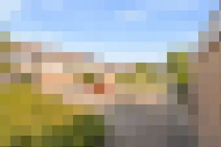 Vecht 19 Emmeloord thumbnail 5