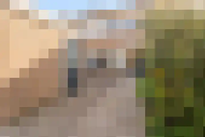 Vecht 19 Emmeloord thumbnail 8