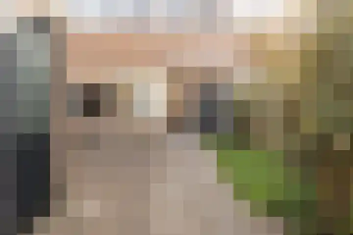 Vecht 19 Emmeloord thumbnail 9