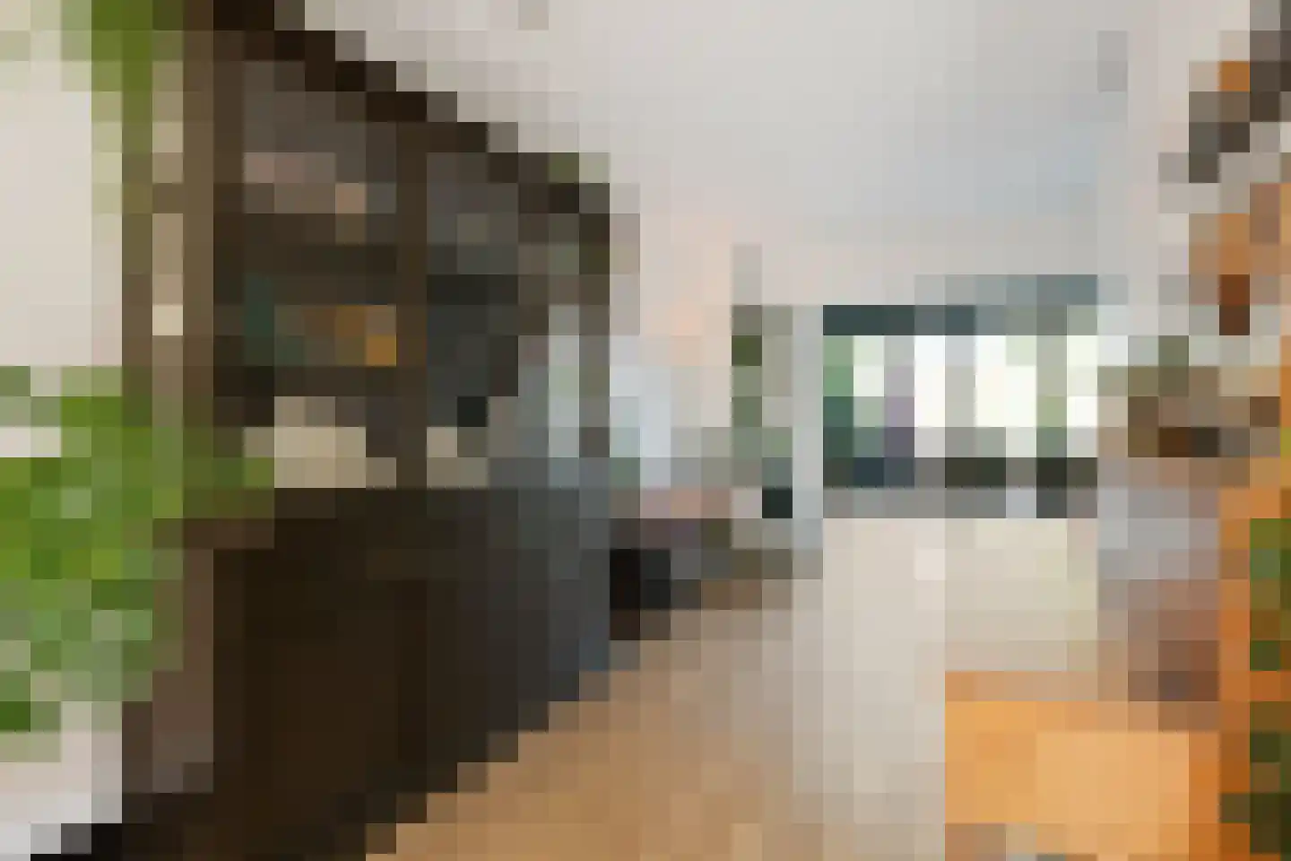 Vecht 20 Huizen thumbnail 21