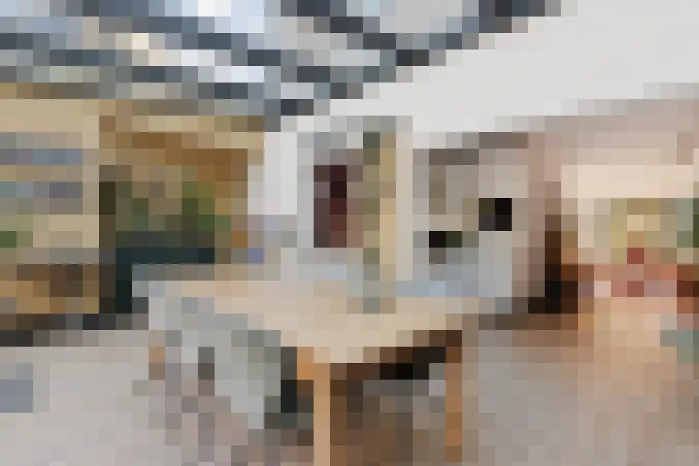Vecht 20 Huizen thumbnail 27