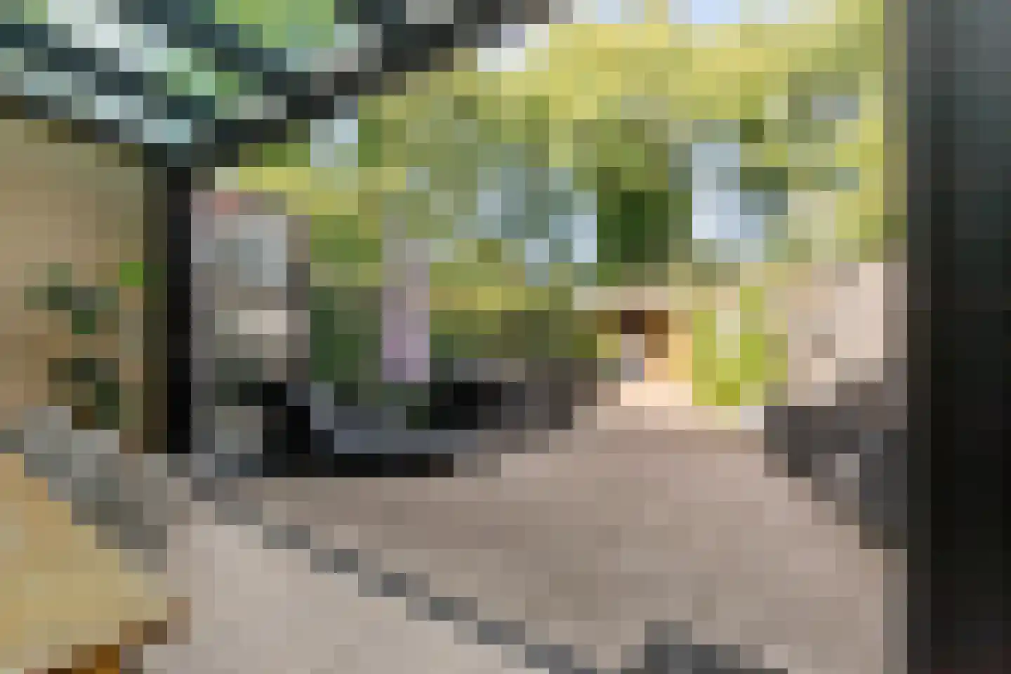 Vecht 20 Huizen thumbnail 29