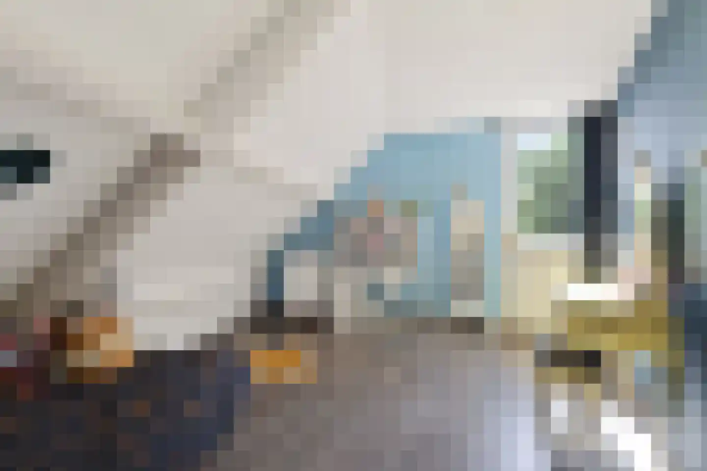 Vecht 20 Huizen thumbnail 39