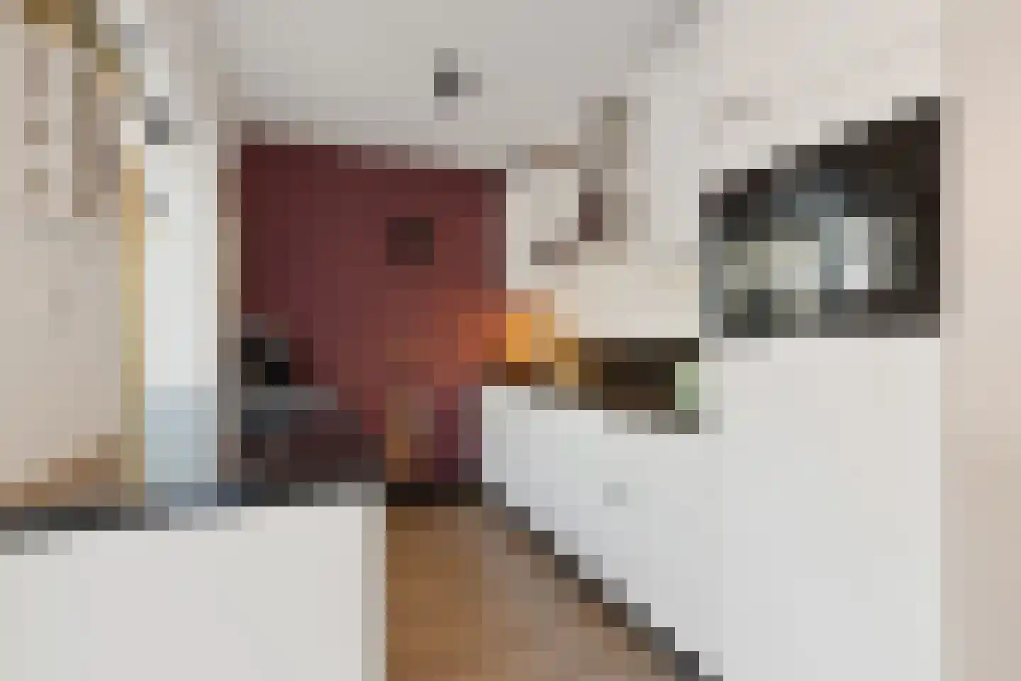 Vecht 20 Huizen thumbnail 6