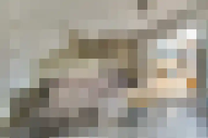 Vecht 26 Heerhugowaard thumbnail 10