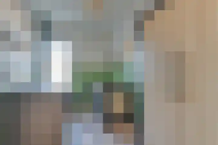 Vecht 26 Heerhugowaard thumbnail 22