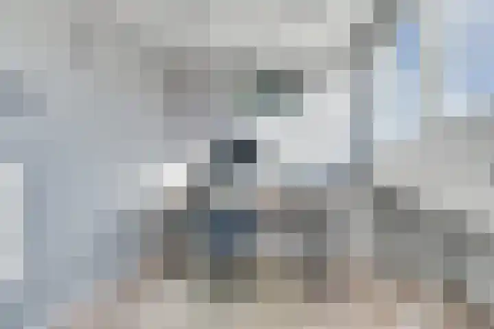 Vecht 26 Heerhugowaard thumbnail 27