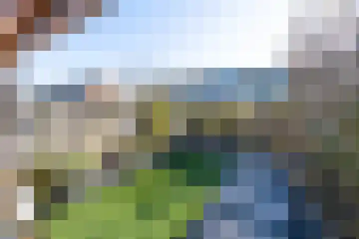 Vecht 26 Heerhugowaard thumbnail 36