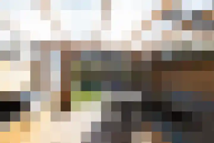 Vecht 26 Heerhugowaard thumbnail 6